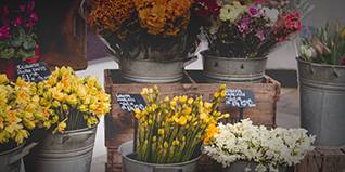Floristik direkt beim Hersteller oder Großhändler kaufen