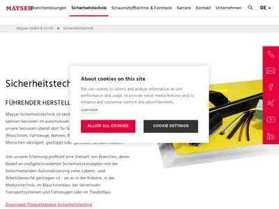 Website von Mayser GmbH & Co. KG