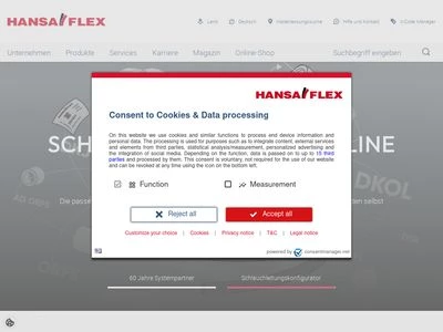 Website von HANSA-FLEX AG
