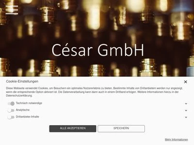 Website von César GmbH