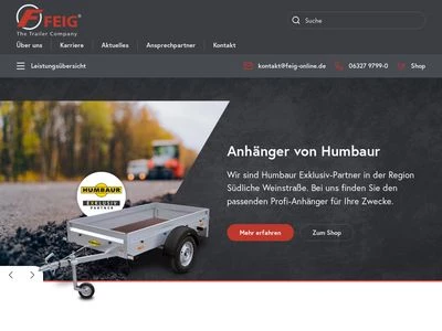 Website von FEIG GmbH