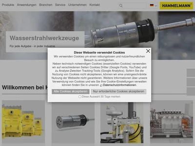 Website von Hammelmann GmbH