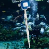 Kapazitiver Sensor RFnivo® in Fischöl