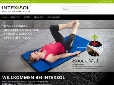 Website von INTEXSOL GmbH