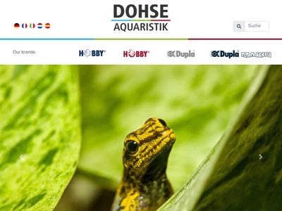 Website von Dohse Aquaristik GmbH & Co. KG