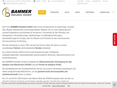 Website von Bammer Handels GmbH