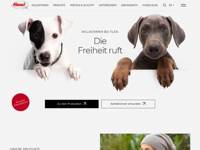 Website von flexi – Bogdahn International GmbH & Co. KG