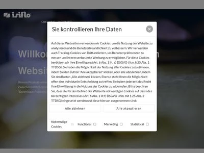 Website von ISIFLO GmbH