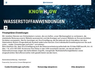 Website von Witzenmann GmbH