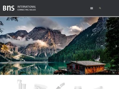 Website von BNS International GmbH