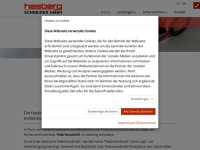 Website von HASBERG Schneider GmbH