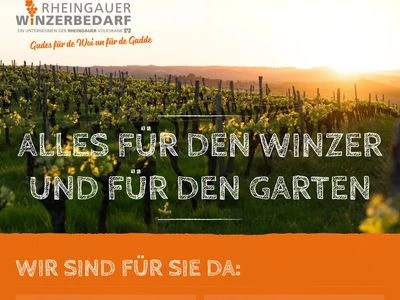 Website von Rheingauer Winzerbedarf GmbH