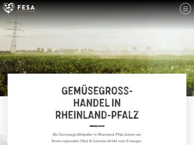Website von FeSa Obst- & Gemüsehandels GmbH & Co. KG