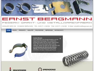 Website von Ernst Bergmann