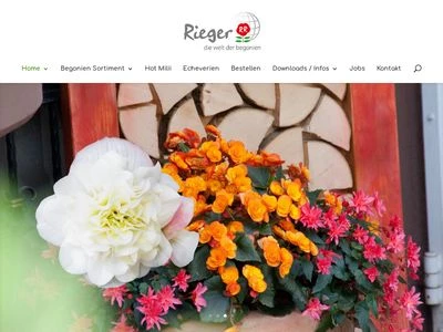 Website von  Begonien-Rieger Vertriebs GmbH