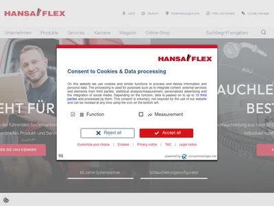 Website von HANSA-FLEX AG