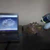 Scanvorgang mit 3D-Laserscanner