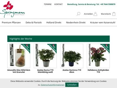 Website von Pflanzen Springmann