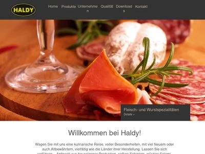 Website von Haldy GmbH & Co. KG