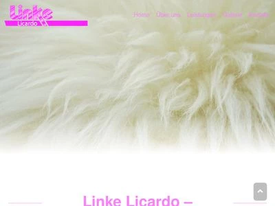 Website von Linke Licardo GmbH