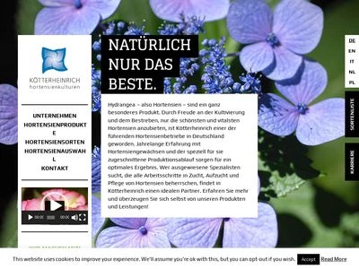 Website von KÖTTERHEINRICH - Hortensienkulturen