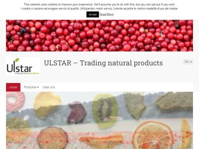 Website von Ulstar GmbH/Srl