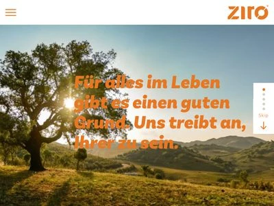 Website von ZIPSE GmbH & Co. KG
