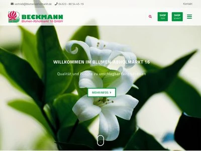 Website von Blumen-Abholmarkt 16 GmbH