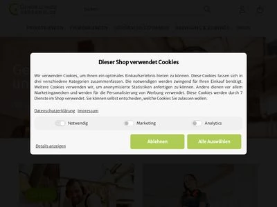 Website von Silentics GmbH