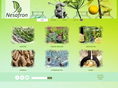 Website von Nesafron GmbH
