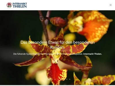 Website von Intermarkt Thielen Vertriebs GmbH