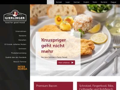 Website von Gierlinger Holding GmbH