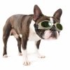 Laserschutz-Doggles® für Kleintiere 