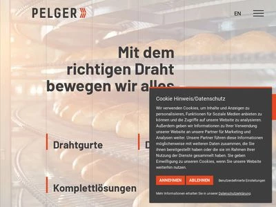 Website von PELGER GmbH