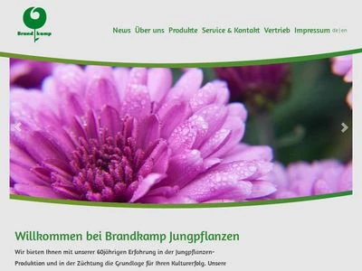 Website von Brandkamp GmbH