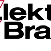 Elektro Braun Logo
