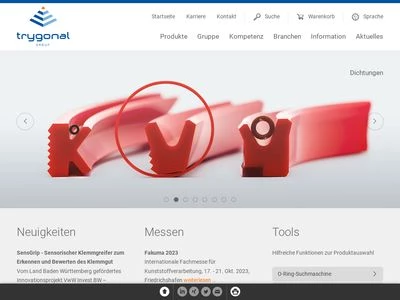 Website von Trygonal Group GmbH