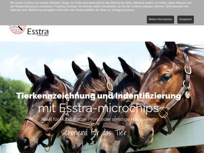 Website von Esstronics GmbH