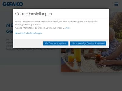 Website von GEFAKO GmbH & Co. KG