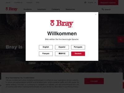 Website von Bray Armaturen & Antriebe Europa