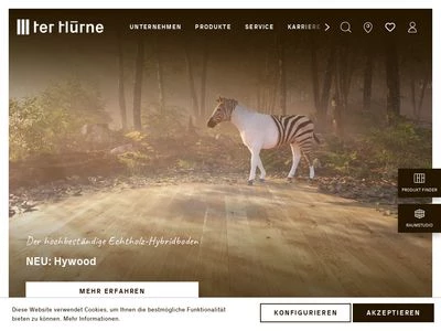 Website von ter Hürne GmbH & Co. KG