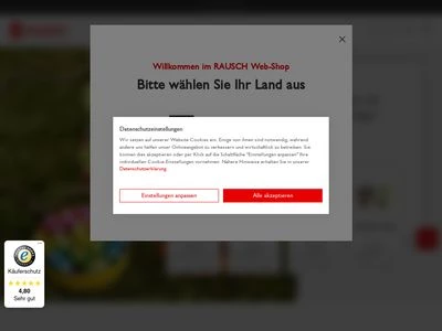Website von Rausch Verpackung GmbH